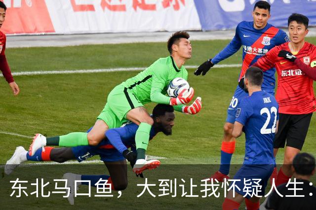 东北马口鱼，大到让我怀疑人生：这货真的算“小型鱼”？